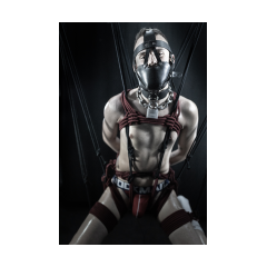 Rope Phantasies - Artful Male Bondage